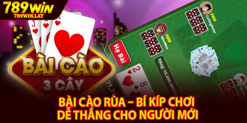 Bài Cào Rùa – Bí Kíp Chơi Dễ Thắng Cho Người Mới 1 Bai Cao Rua – Bi Kip Choi De Thang Cho Nguoi Moi