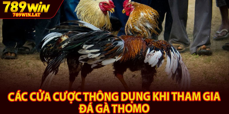 Đá Gà Thomo 789win – Sân Chơi Đá Gà Hấp Dẫn Trả Thưởng 4 Các cửa cược thông dụng khi tham gia đá gà Thomo