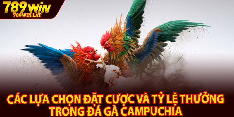 Đá Gà Campuchia – Sân Chơi Cá Cược Uy Tín 789win 4 Các lựa chọn đặt cược và tỷ lệ thưởng trong đá gà Campuchia