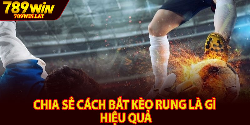 Kèo Rung Là Gì – Mẹo Bắt Kèo Hiệu Quả Cho Người Mới 4 Chia sẻ cách bắt kèo Rung là gì hiệu quả