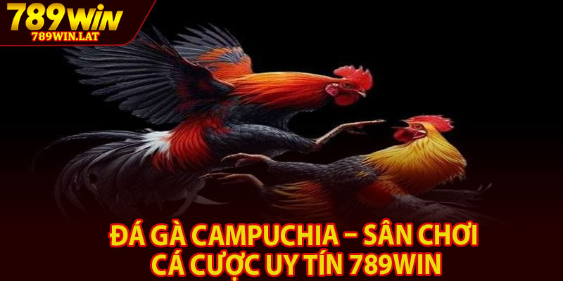 Đá Gà Campuchia – Sân Chơi Cá Cược Uy Tín 789win 1 Da Ga Campuchia – San Choi Ca Cuoc Uy Tin 789win