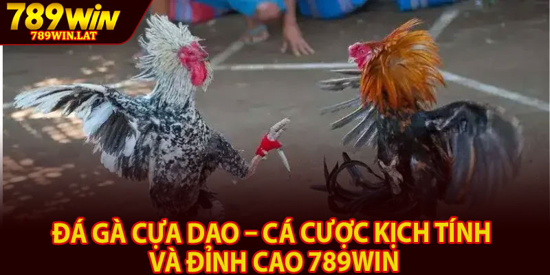 Đá Gà Cựa Dao – Cá Cược Kịch Tính Và Đỉnh Cao 789win 10 Da Ga Cua Dao – Ca Cuoc Kich Tinh Va Dinh Cao 789win