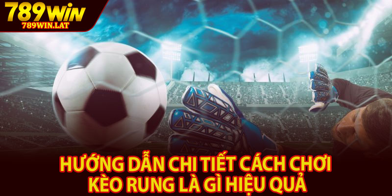 Kèo Rung Là Gì – Mẹo Bắt Kèo Hiệu Quả Cho Người Mới 3 Hướng dẫn chi tiết cách chơi kèo rung là gì hiệu quả