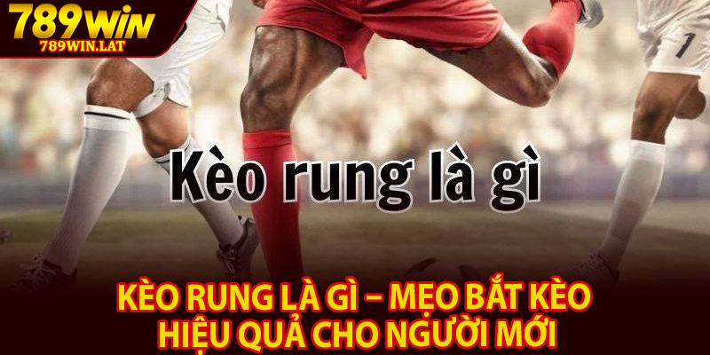 Kèo Rung Là Gì – Mẹo Bắt Kèo Hiệu Quả Cho Người Mới 8 Keo Rung La Gi – Meo Bat Keo Hieu Qua Cho Nguoi Moi