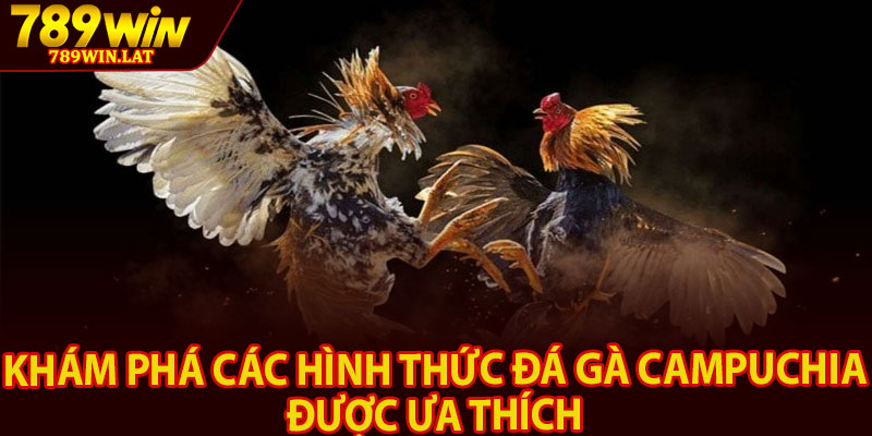 Đá Gà Campuchia – Sân Chơi Cá Cược Uy Tín 789win 3 Khám phá các hình thức đá gà Campuchia được ưa thích