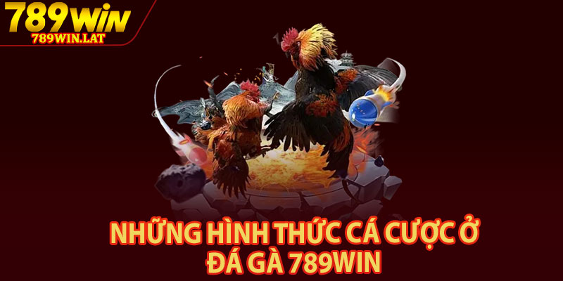 Đá Gà 789win – Đỉnh Cao Đá Gà Trực Tuyến 2026 2 Những hình thức cá cược ở đá gà 789win