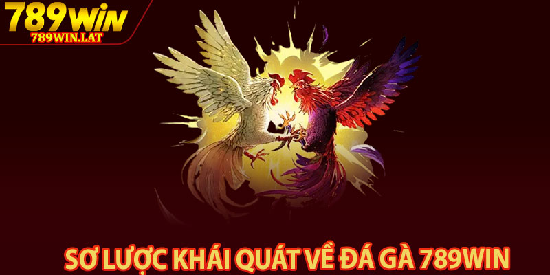Đá Gà 789win – Đỉnh Cao Đá Gà Trực Tuyến 2026 1 Sơ lược khái quát về đá gà 789win